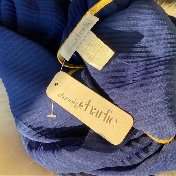 ‼️Charming Charlie blue scarf with gold edges - Picture 10 of 10
